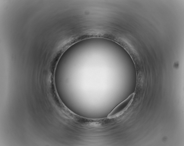 X0000095110692200712070920