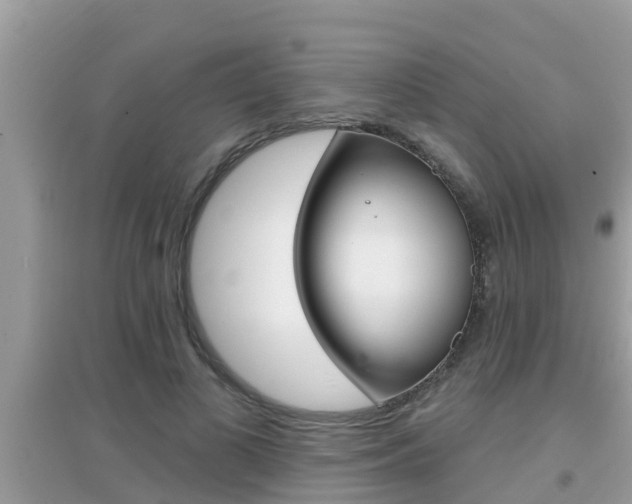 X0000095110693200712070920