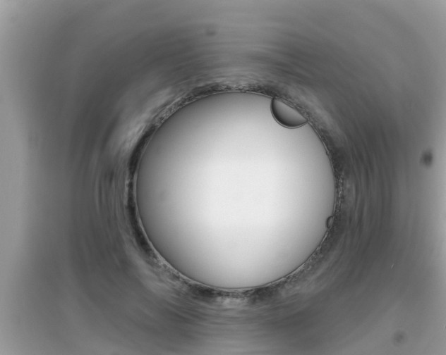 X0000095110694200712070920