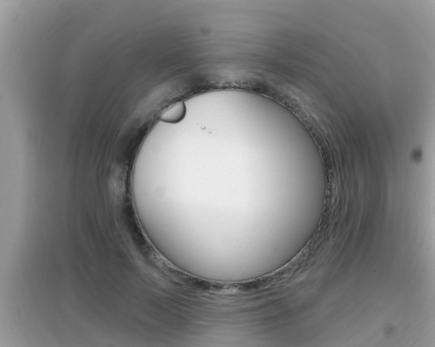 X0000095110695200712070920