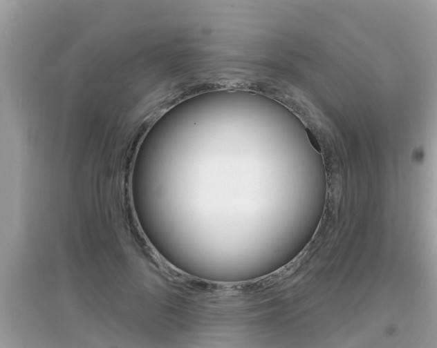 X0000095110696200712070920