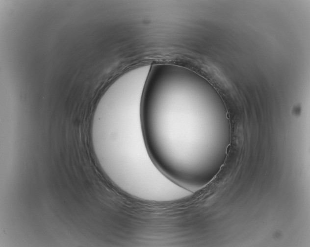 X0000095110697200712070920