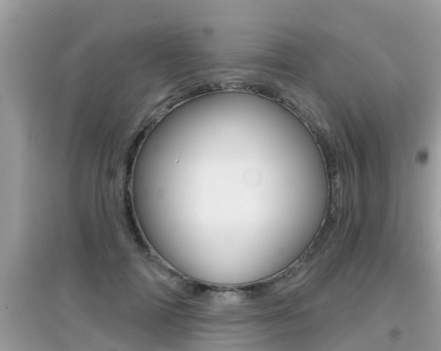 X0000095110698200712070920