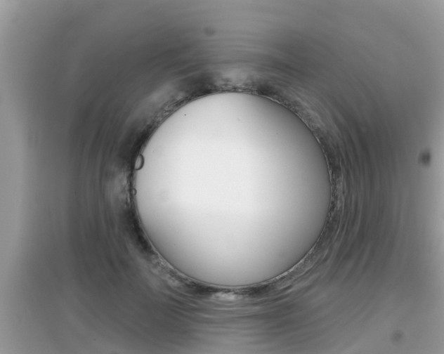 X0000095110699200712070920