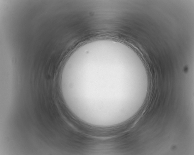 X0000095110701200712070920