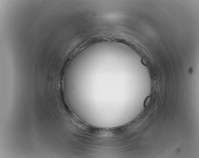 X0000095110702200712070920