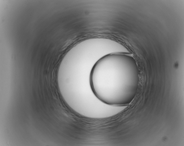 X0000095110704200712070919