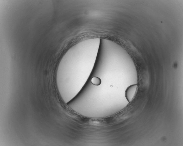 X0000095110706200712070919