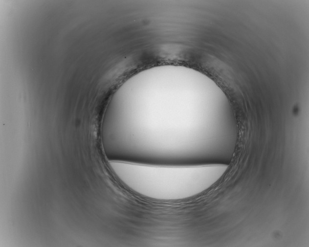 X0000095110710200712070919