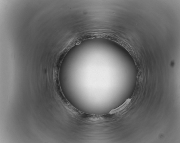 X0000095110712200712070919