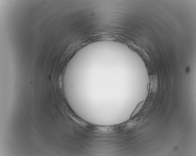 X0000095110713200712070919