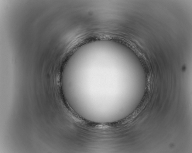 X0000095110714200712070919