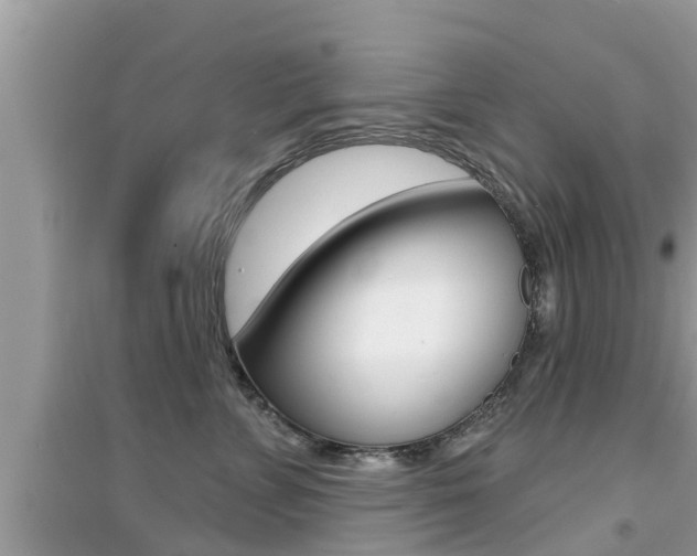 X0000095110715200712070919