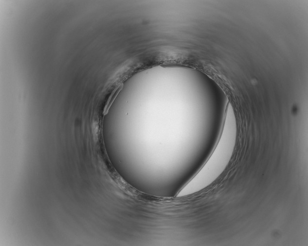 X0000095110716200712070919