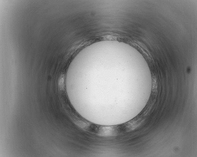 X0000095110717200712070919