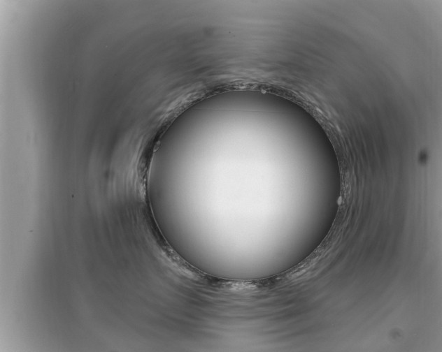 X0000095110719200712070919