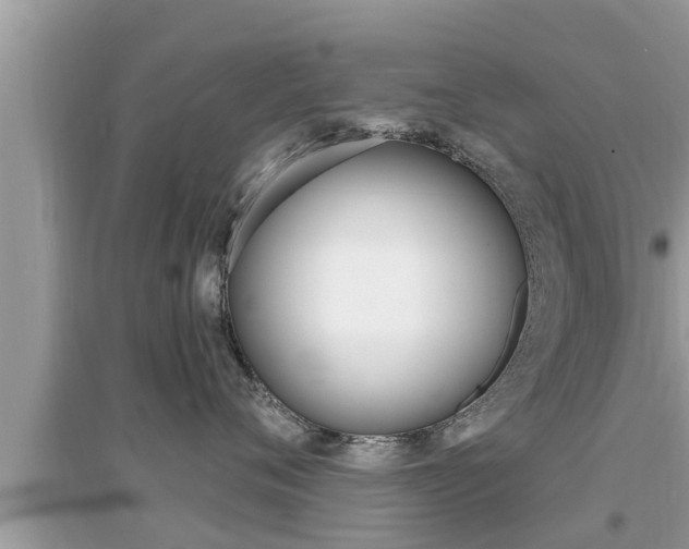 X0000095110720200712070919