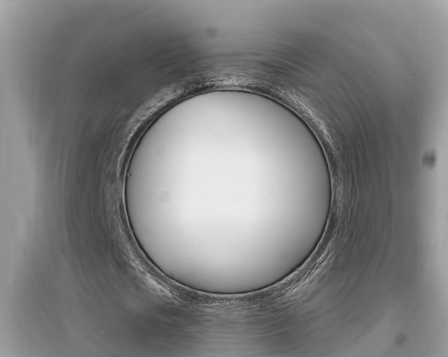 X0000095110721200712070918