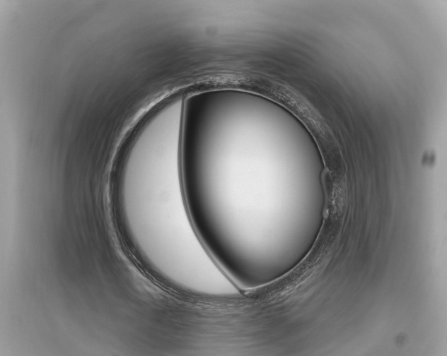 X0000095110722200712070918
