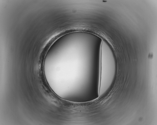 X0000095110723200712070918