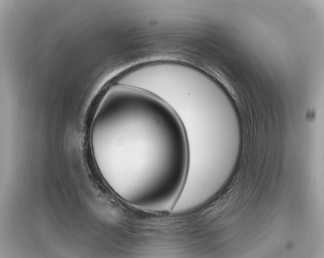 X0000095110724200712070918