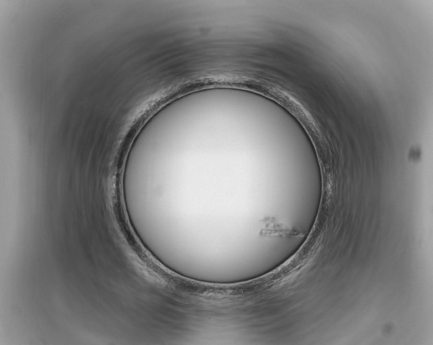 X0000095110725200712070918