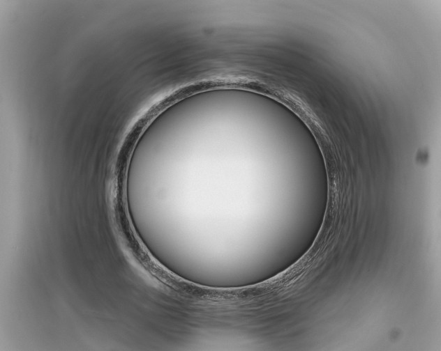 X0000095110726200712070918