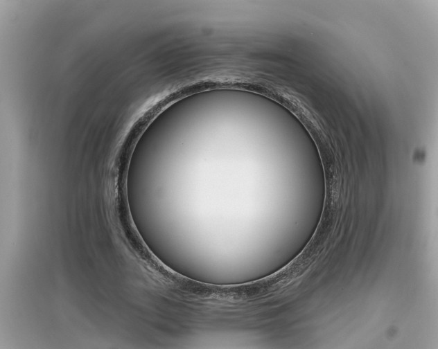 X0000095110727200712070919