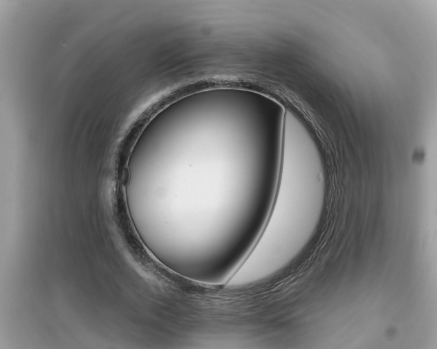 X0000095110728200712070919