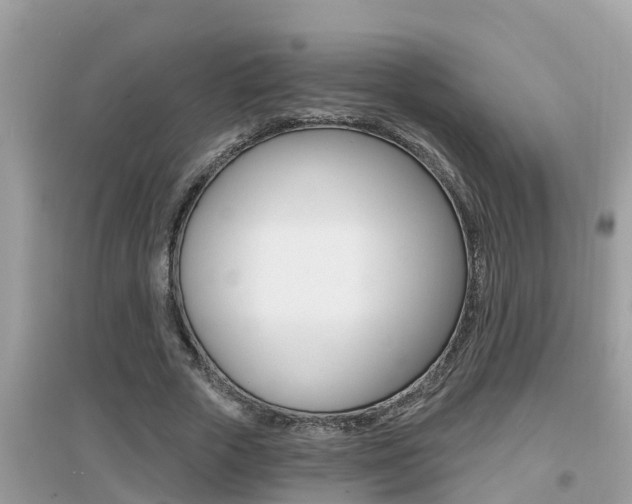 X0000095110729200712070919