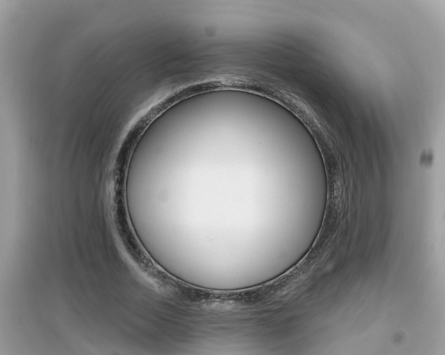 X0000095110730200712070919