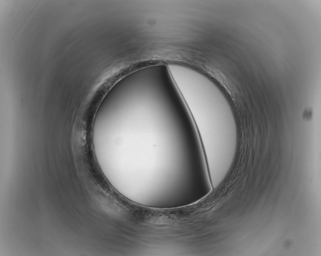 X0000095110731200712070919