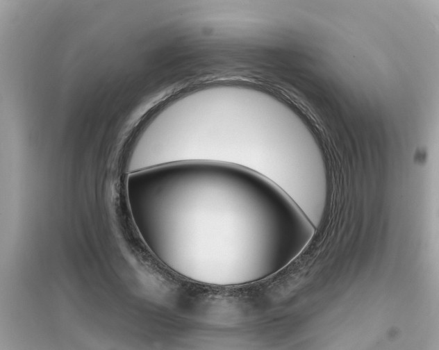 X0000095110732200712070919