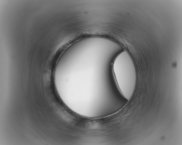 X0000095110735200712070919