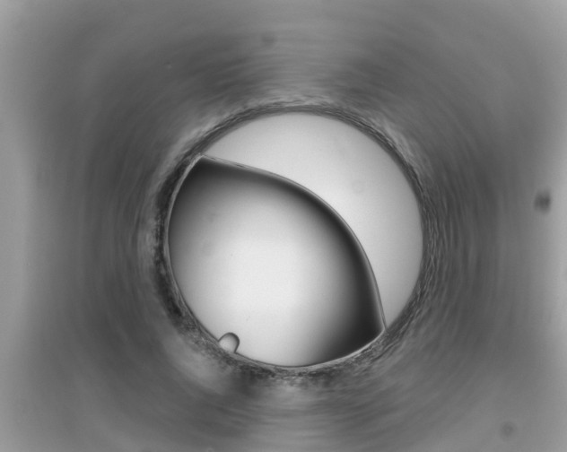 X0000095110736200712070919