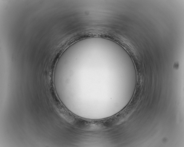 X0000095110737200712070919