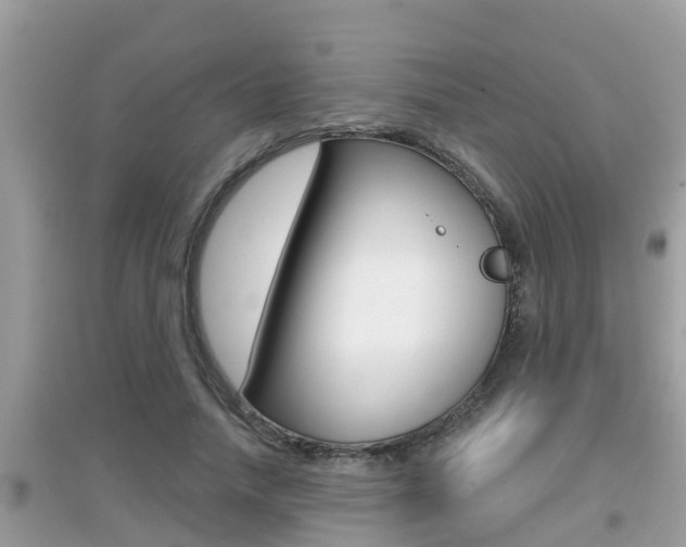 X0000095110738200712070919