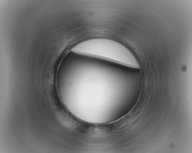 X0000095110739200712070919