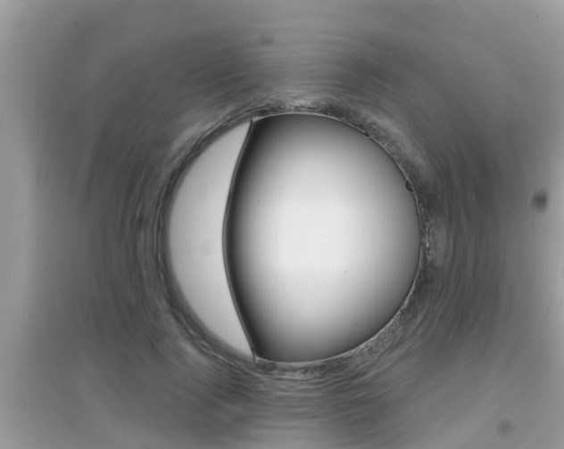 X0000095110740200712070919