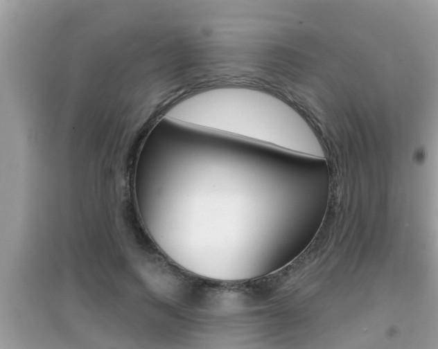 X0000095110743200712070919