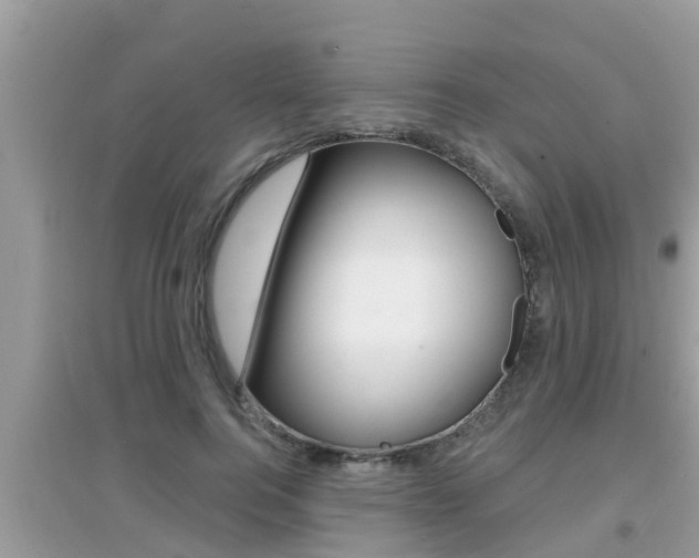 X0000095110744200712070919