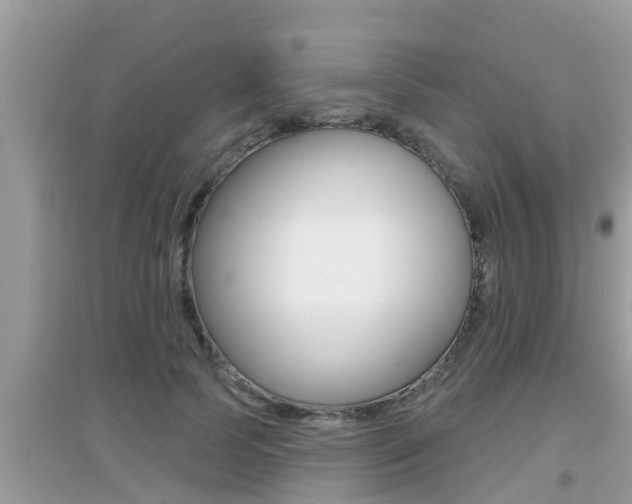 X0000095110745200712070919