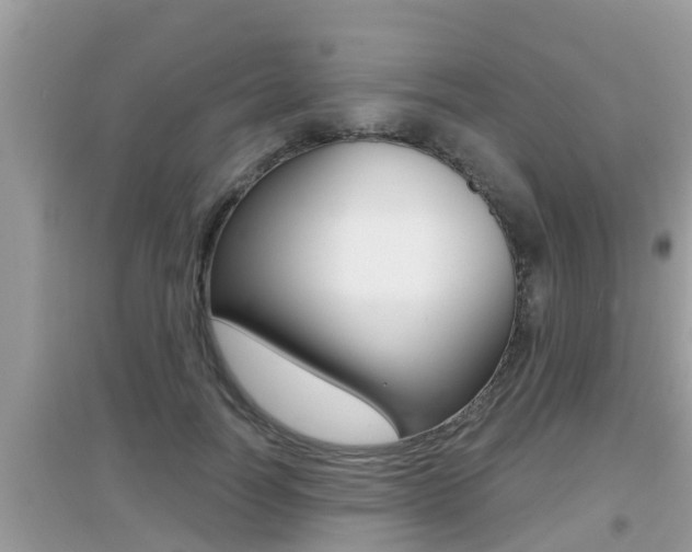 X0000095110746200712070919