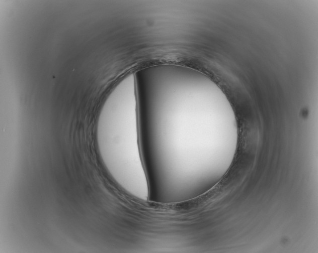 X0000095110747200712070919