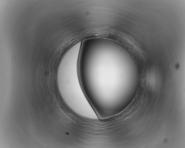 X0000095110748200712070919