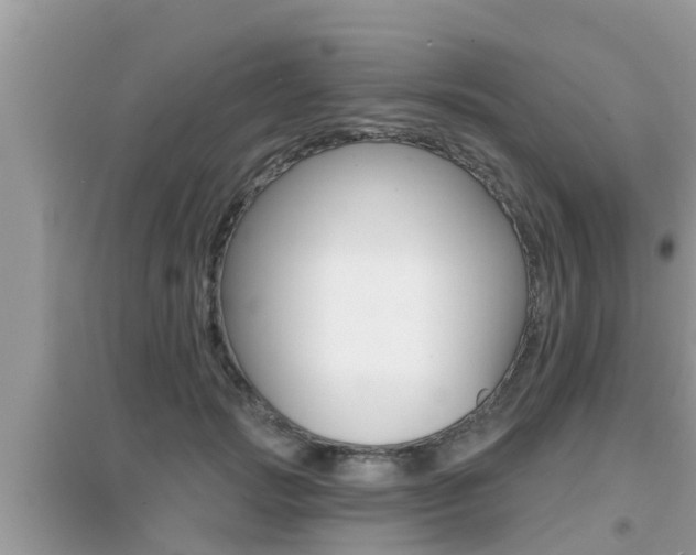 X0000095110749200712070919
