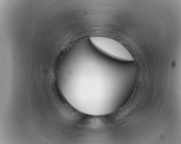 X0000095110751200712070919