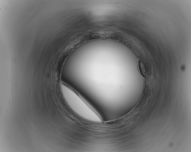 X0000095110752200712070919