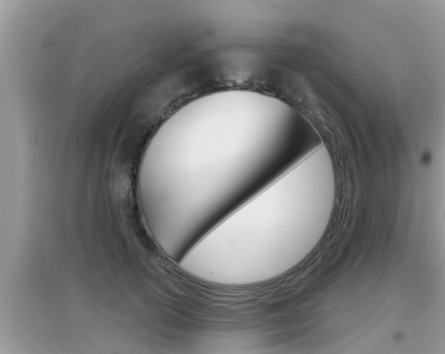 X0000095110754200712070919