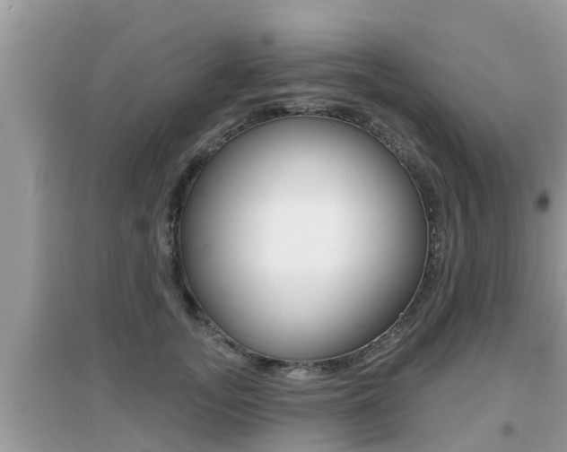 X0000095110755200712070919
